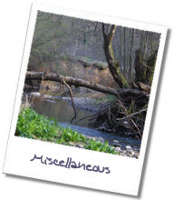 photographs of Landscapes Photography Library